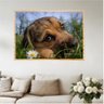 kit_quadro_decorativo_animais_moldura_filetti_2289_variacao_5847_1_6fc44d4da99f38602e923907b0db6655