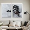 kit_quadro_decorativo_animais_cavalo_canvas_com_moldura_branca_2585_variacao_7031_1_7891f849d35b3b118ce281be7f35a00a