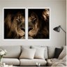 kit_quadro_decorativo_animais_leao_canvas_com_moldura_branca_2607_variacao_7119_1_d2250ae40a71b38211eaa93b8e1c5e0c